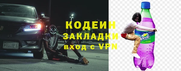 гашик Ленск