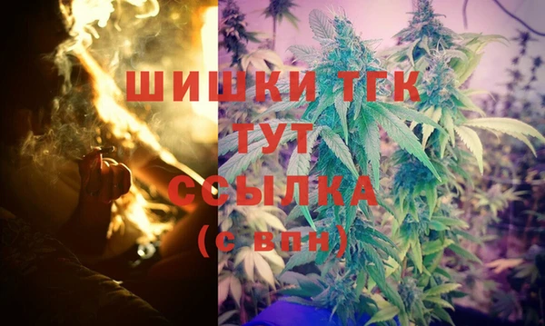 винт Ленинск-Кузнецкий