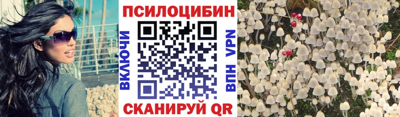 купить наркотик  Сурск  гидра как войти  Галлюциногенные грибы Magic Shrooms 